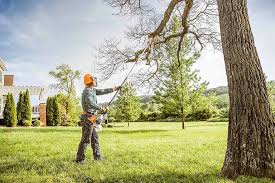 Reliable Elma, WA Tree Removal and Landscaping Services Solutions